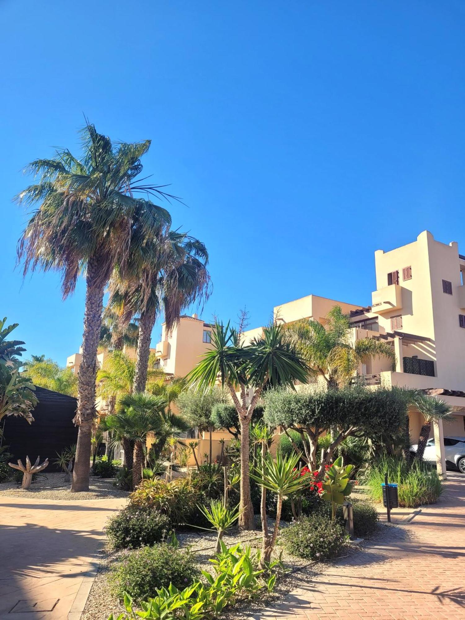 Bajo Con Una Terraza Espectacular Al Lado De La Playa Y Con Acceso Directo A La Piscina! Los Amarguillos Exterior photo